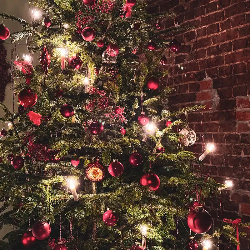 Tannenbaum-Schmückservice in Goldenstedt